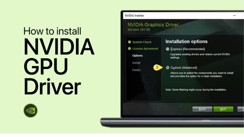 NVIDIA Drivers Review: The Simple Guide to Faster FPS