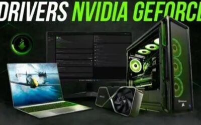 Nvidia RTX Drivers: Which Branch to Install and When