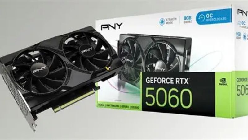 PNY GeForce RTX 5060 8GB: Two Worries, Two Real Answers