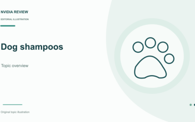 Best Organic Dog Shampoo in 2026: Compared and Ranked